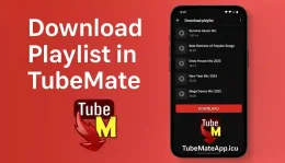 How To Download Playlist Using TubeMate